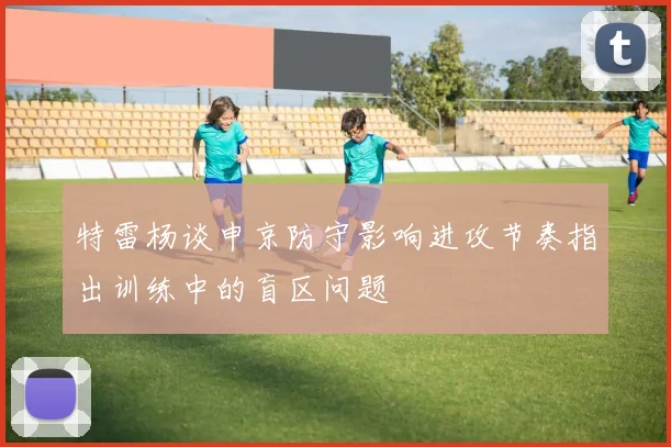 特雷杨谈申京防守影响进攻节奏指出训练中的盲区问题