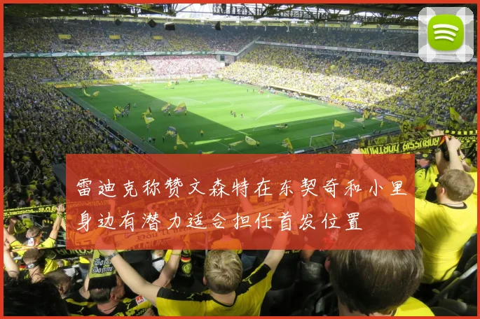雷迪克称赞文森特在东契奇和小里身边有潜力适合担任首发位置