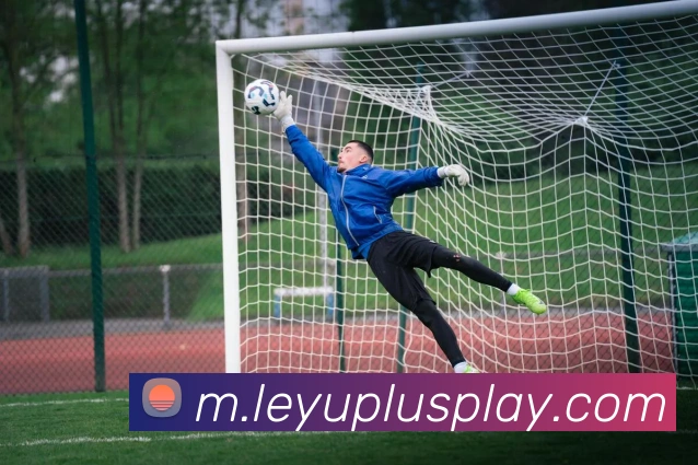 乐鱼体育平台生态图