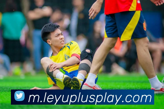 乐鱼体育APP 封面图