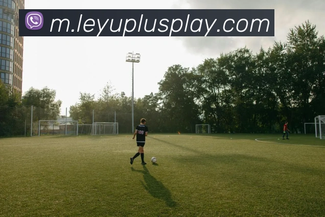 数据防护可视化